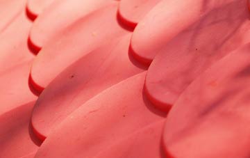 Bramshaw plastic roof costs